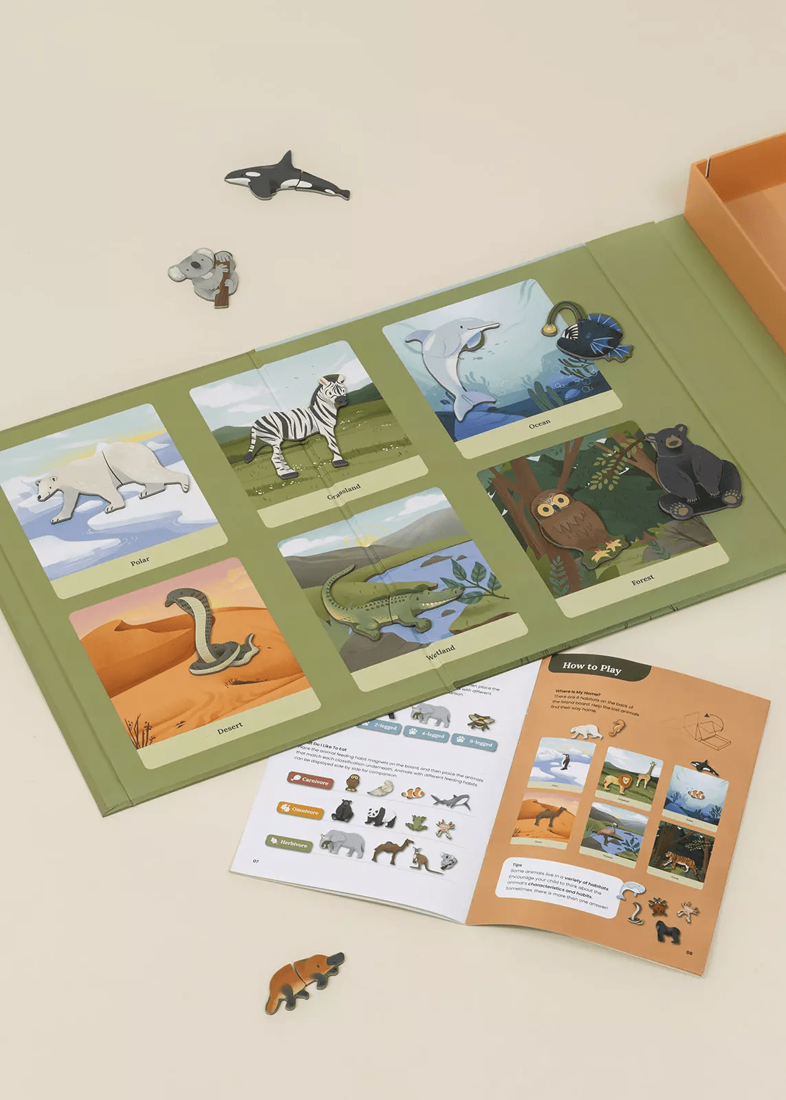Coco Village Interactive & Magnetic Encyclopedia – Animal Discovery - Mastermind Toys___247367