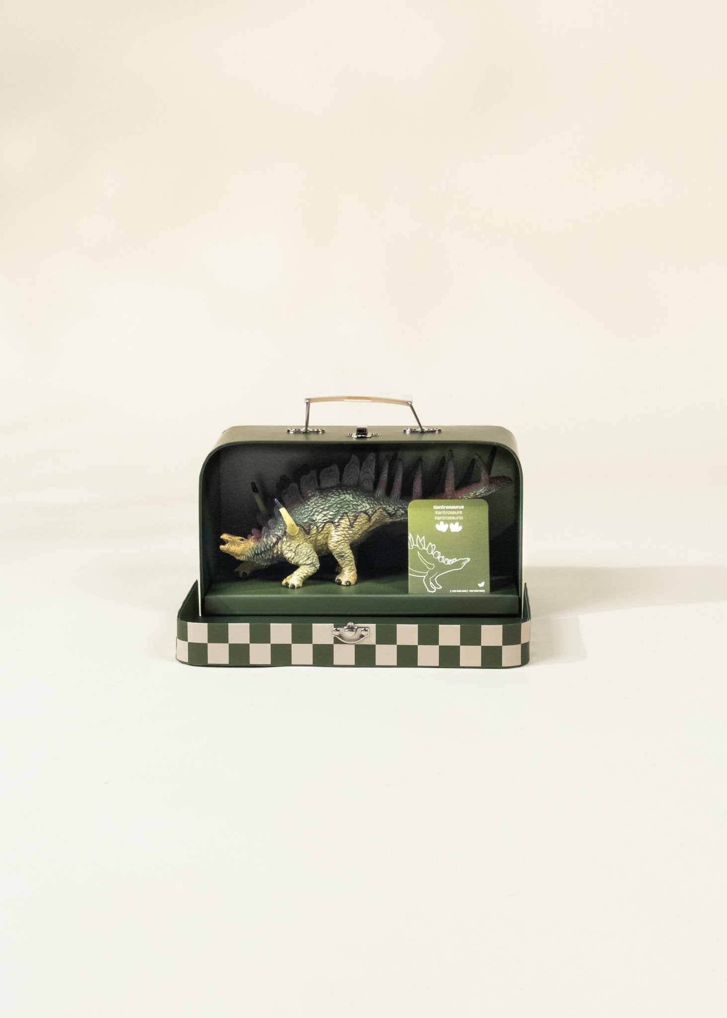 Coco Village Kentrosaurus Dinosaur in a Collectible Box - Mastermind Toys___246687