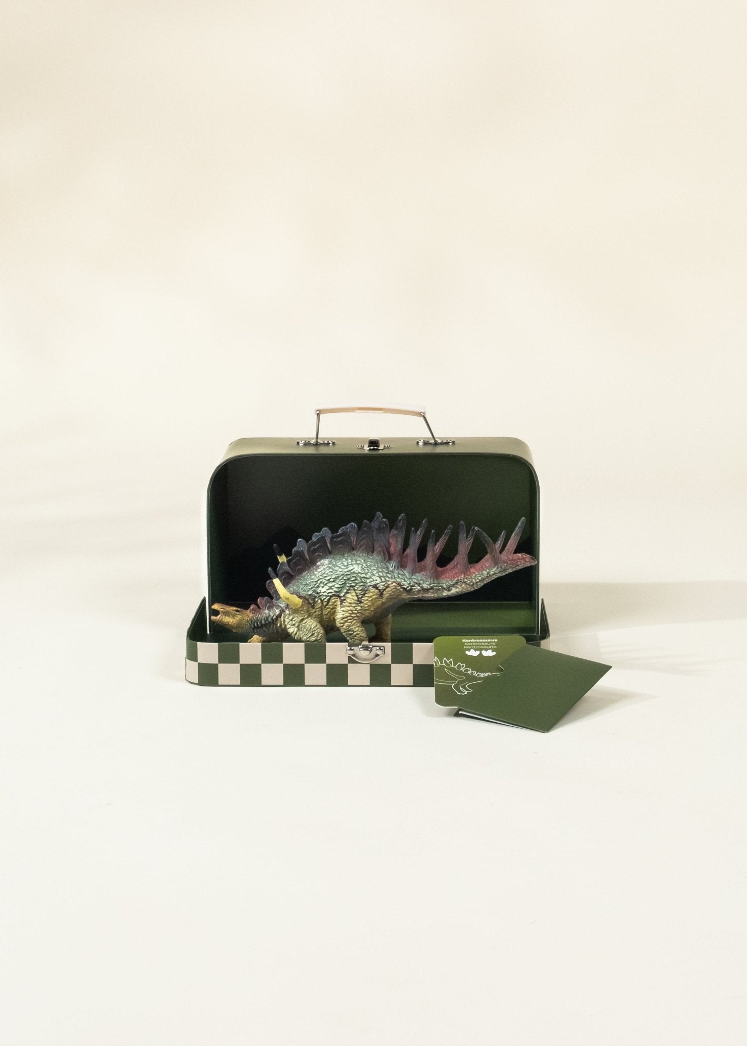 Coco Village Kentrosaurus Dinosaur in a Collectible Box - Mastermind Toys___246687