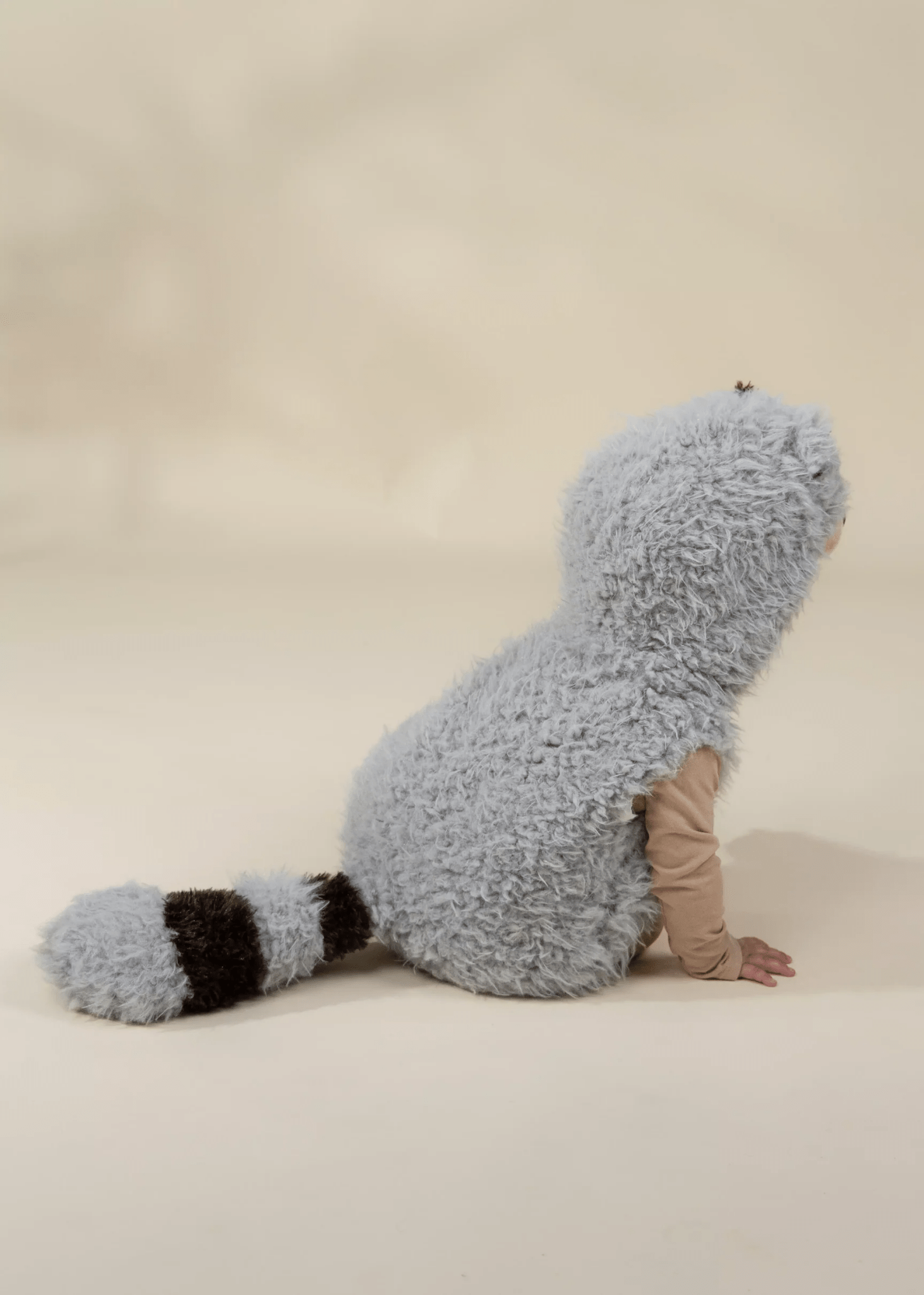 Coco Village My First Raccoon Body Costume 0 - 6M - Mastermind Toys___245721