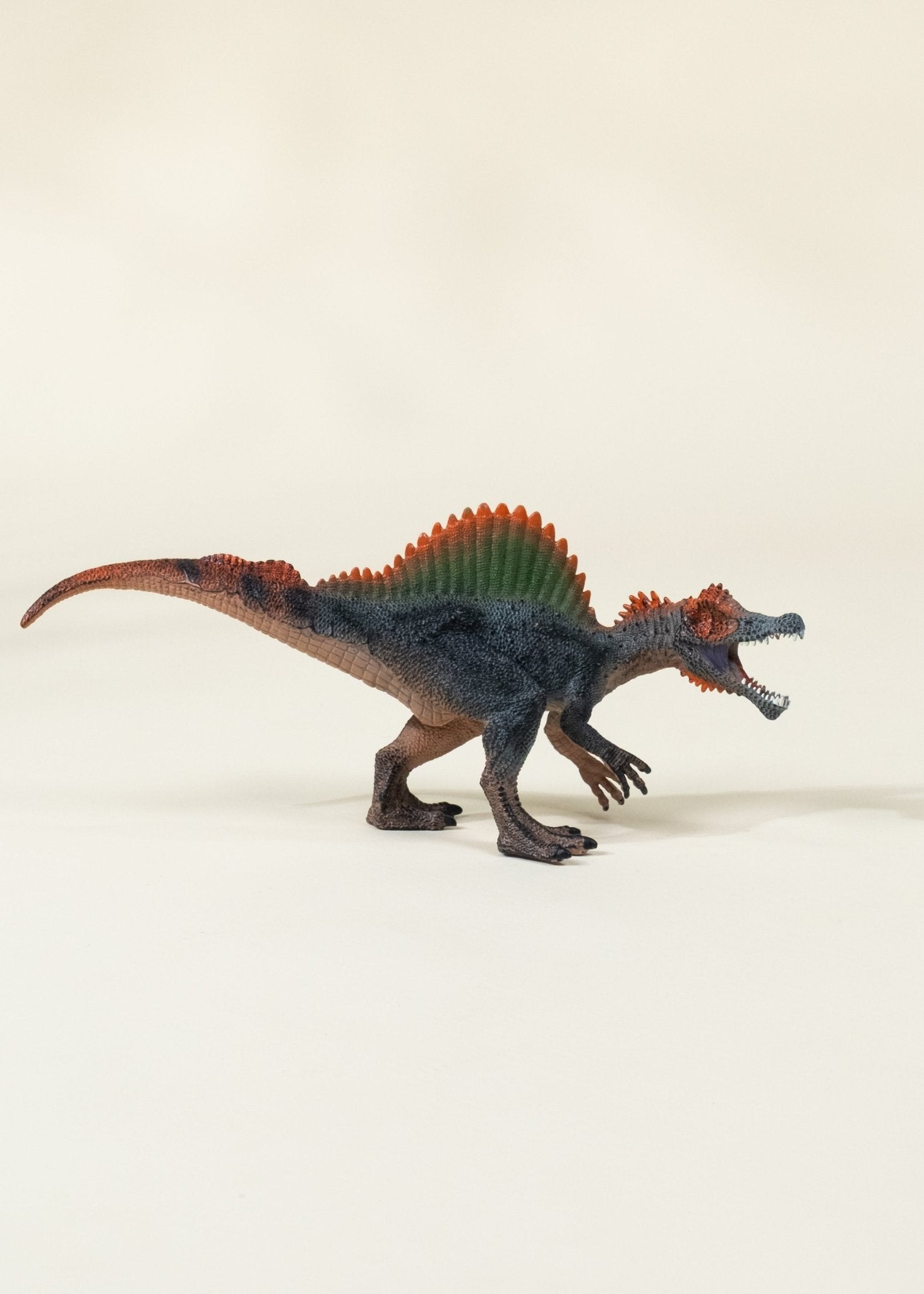 Coco Village Spinosaurus Dinosaur in a Collectible Box - Mastermind Toys___246692
