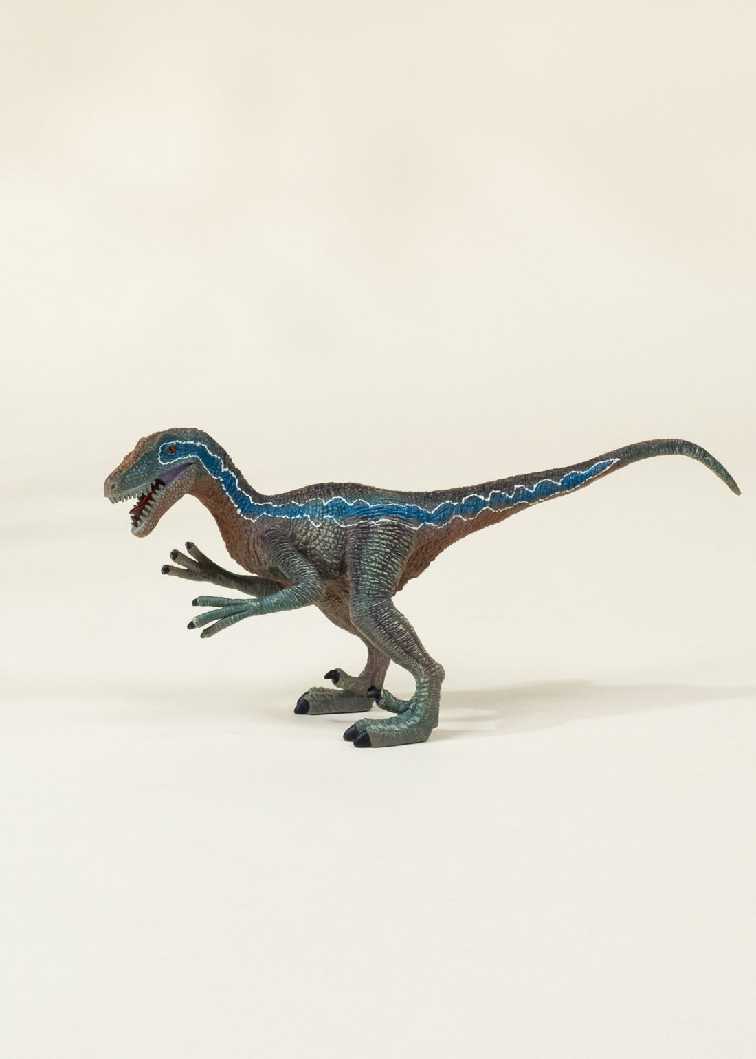 Coco Village Velociraptor Dinosaur in a Collectible Box - Mastermind Toys___246698