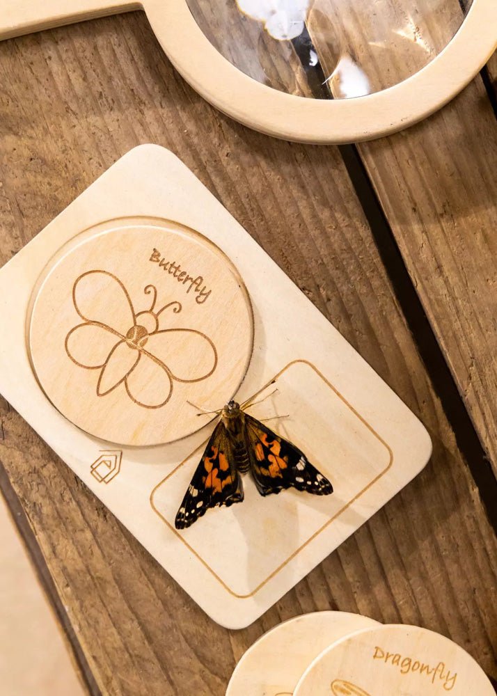 Coco Village Wooden Bug House - Mastermind Toys___233450