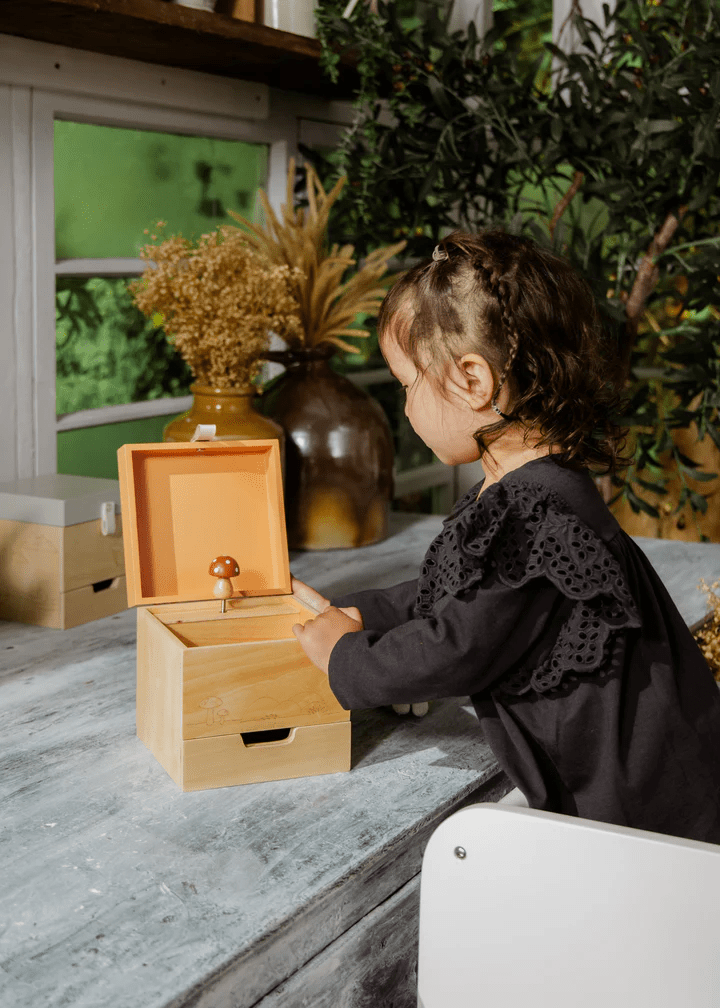 Coco Village Wooden Musical Souvenir Box - Nature - Mastermind Toys___235668