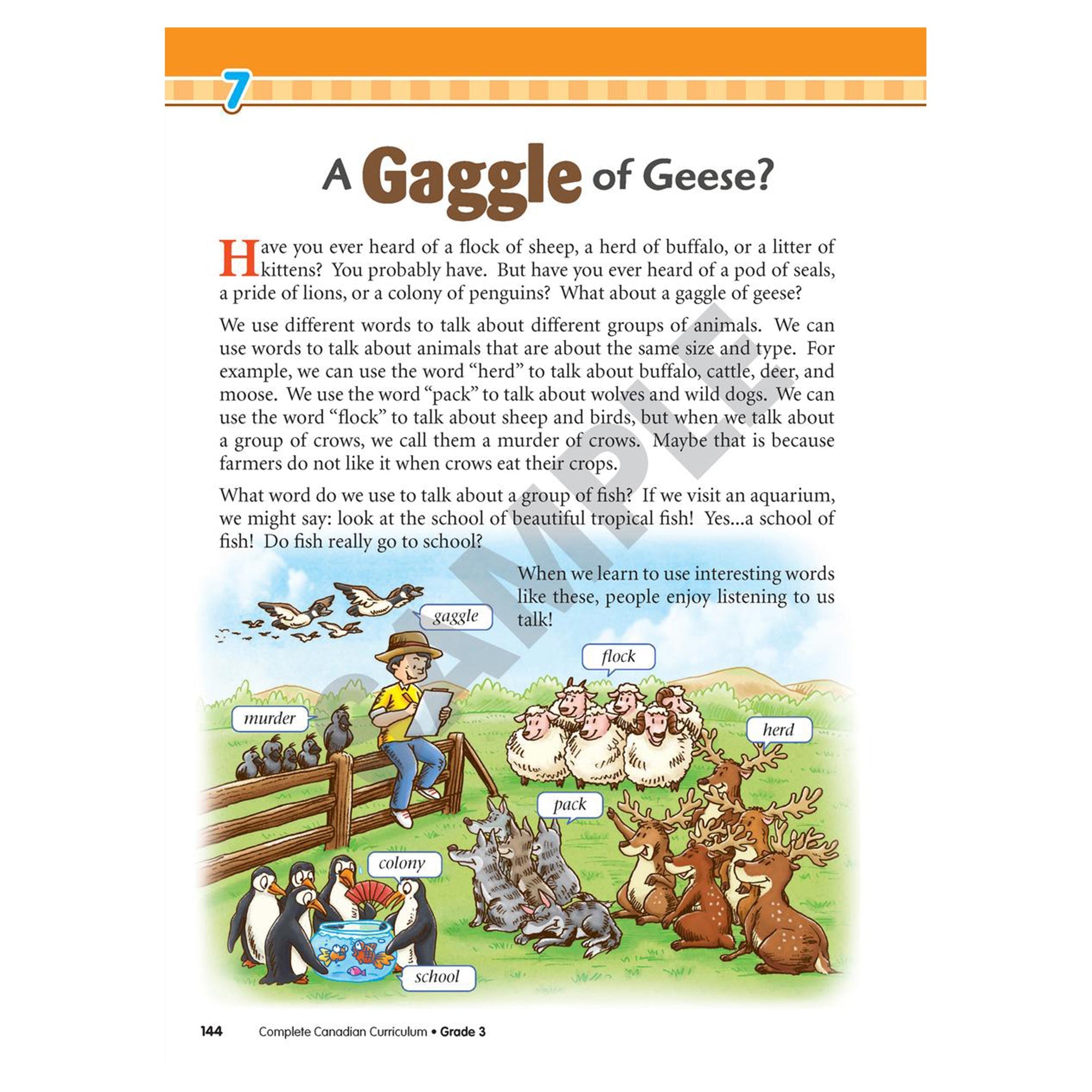 Complete Canadian Curriculum 3 - Mastermind Toys___234315