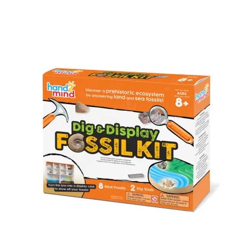 Dig & Display Fossils Science Lab Kit - Mastermind Toys___255176