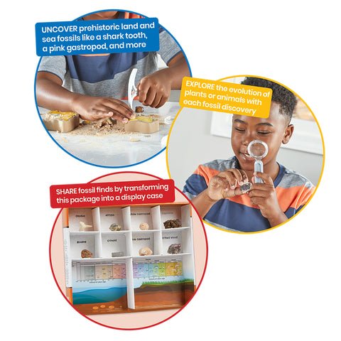 Dig & Display Fossils Science Lab Kit - Mastermind Toys___255176