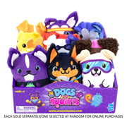 Dogs vs Squirls Bean Assorted - Mastermind Toys___227177