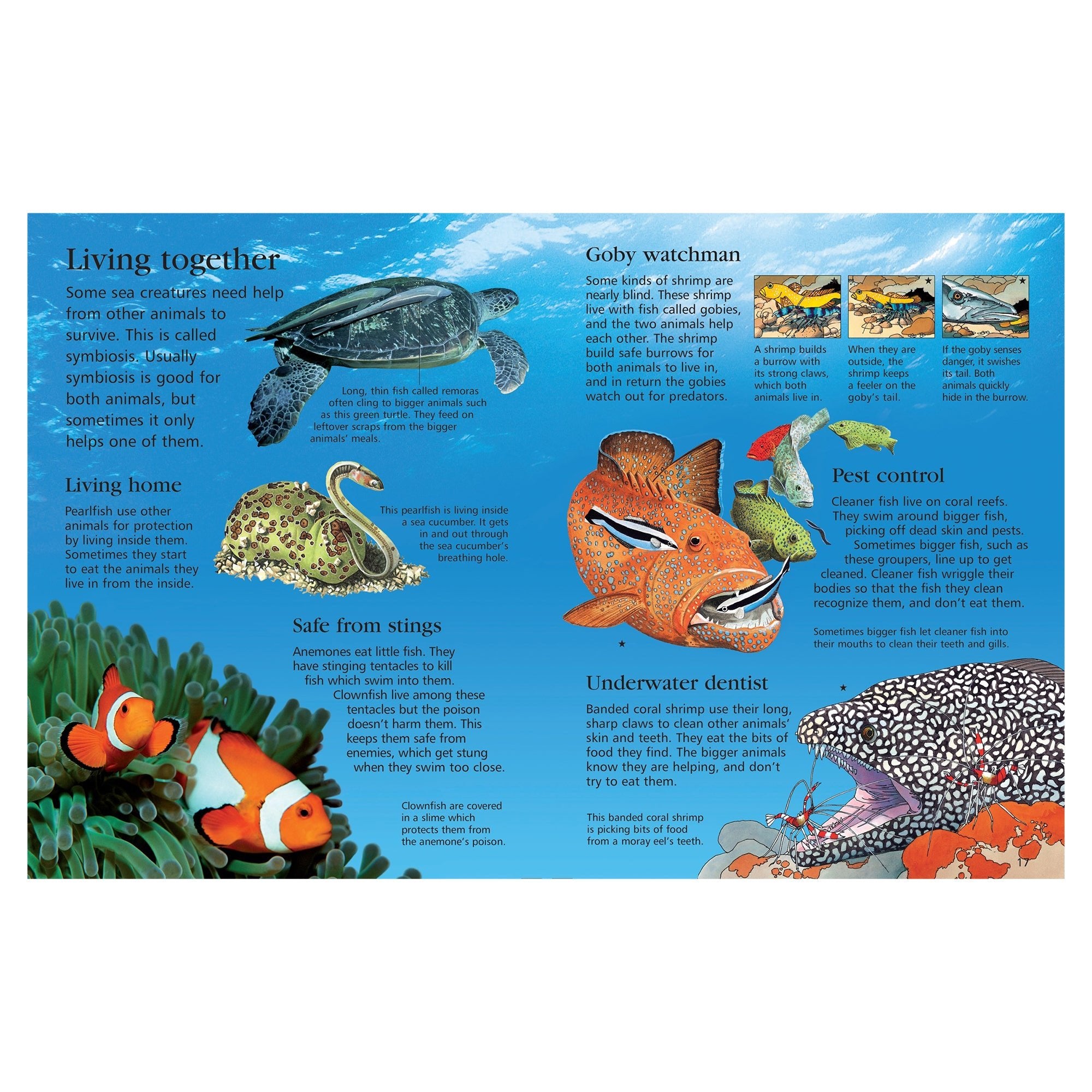 First Encyclopedia of Seas and Oceans - Mastermind Toys___253208