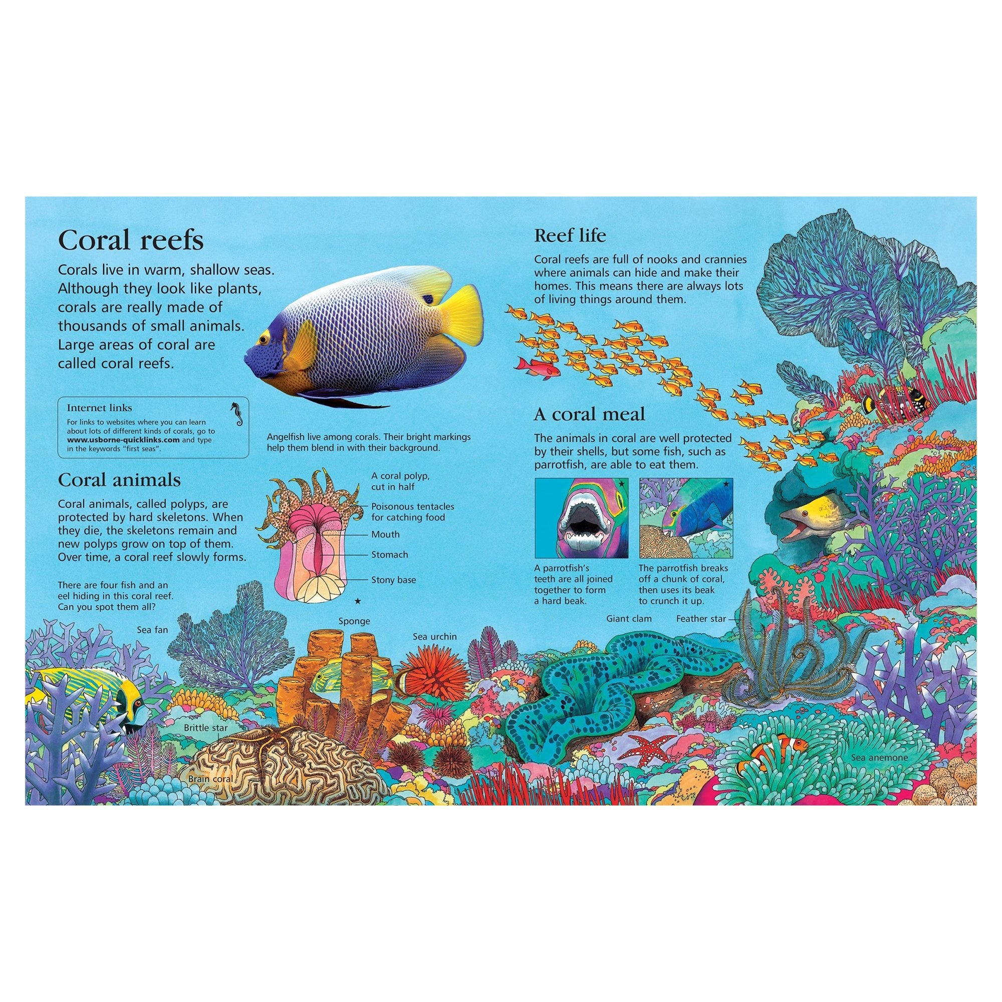 First Encyclopedia of Seas and Oceans - Mastermind Toys___253208