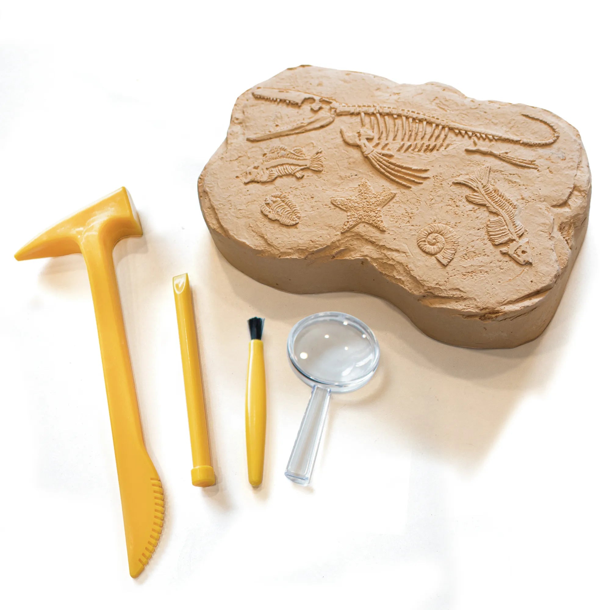 GeoSafari® Fossil Excavation Kit - Mastermind Toys___255166