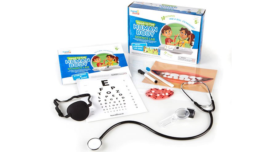 Head - To - Toe Human Body Science Lab - Mastermind Toys___255173