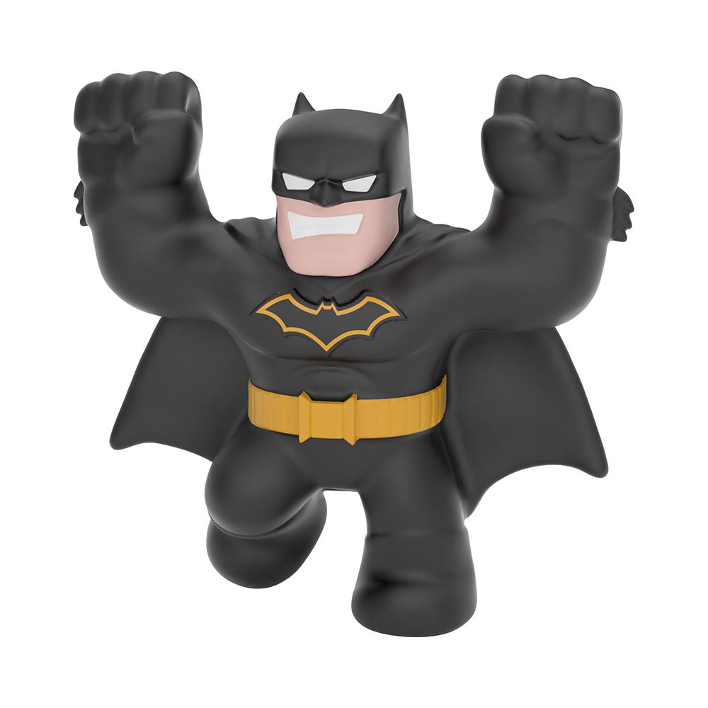 Heroes of Goo Jit Zu DC Heroes Minis Assorted - Mastermind Toys___222116