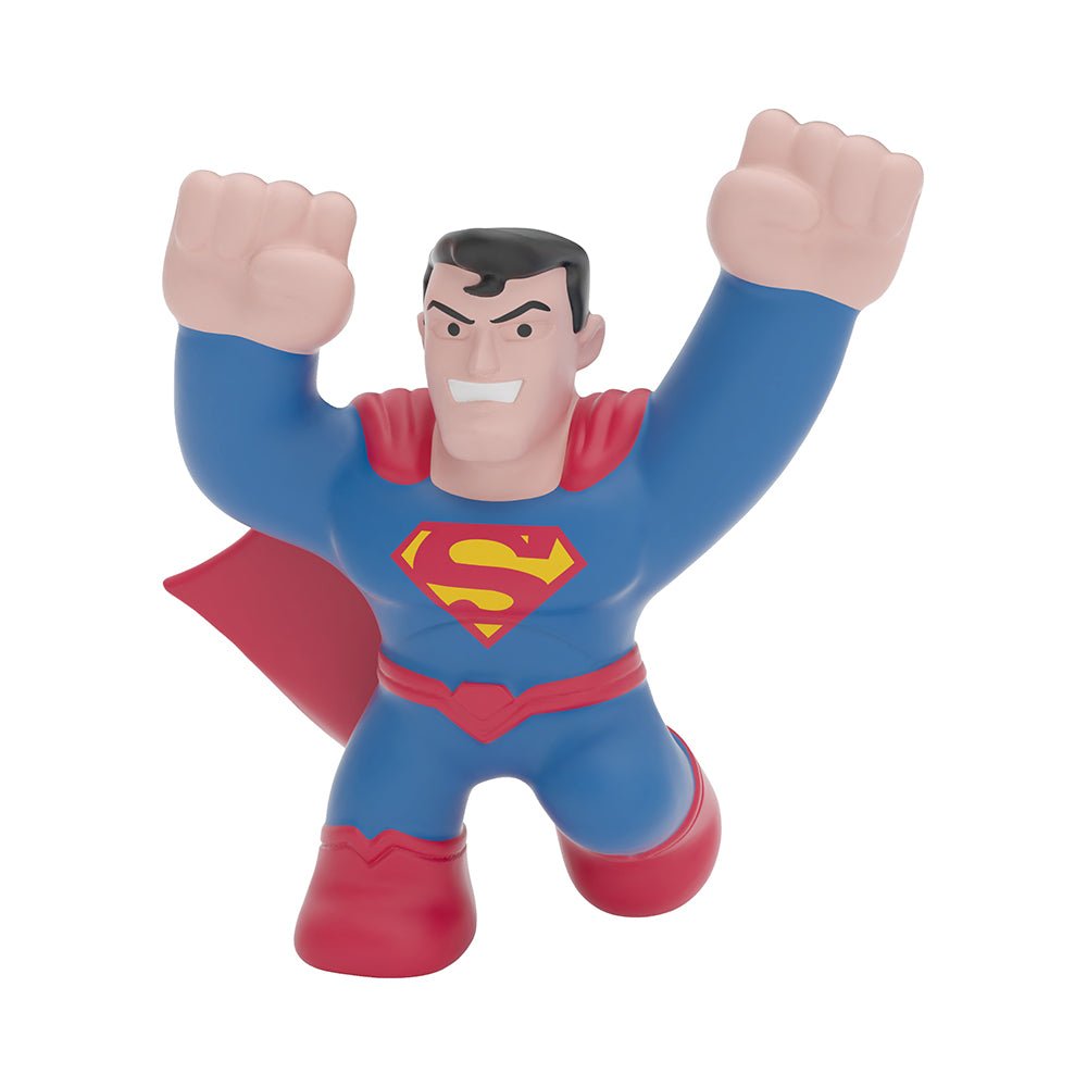 Heroes of Goo Jit Zu DC Heroes Minis Assorted - Mastermind Toys___222116