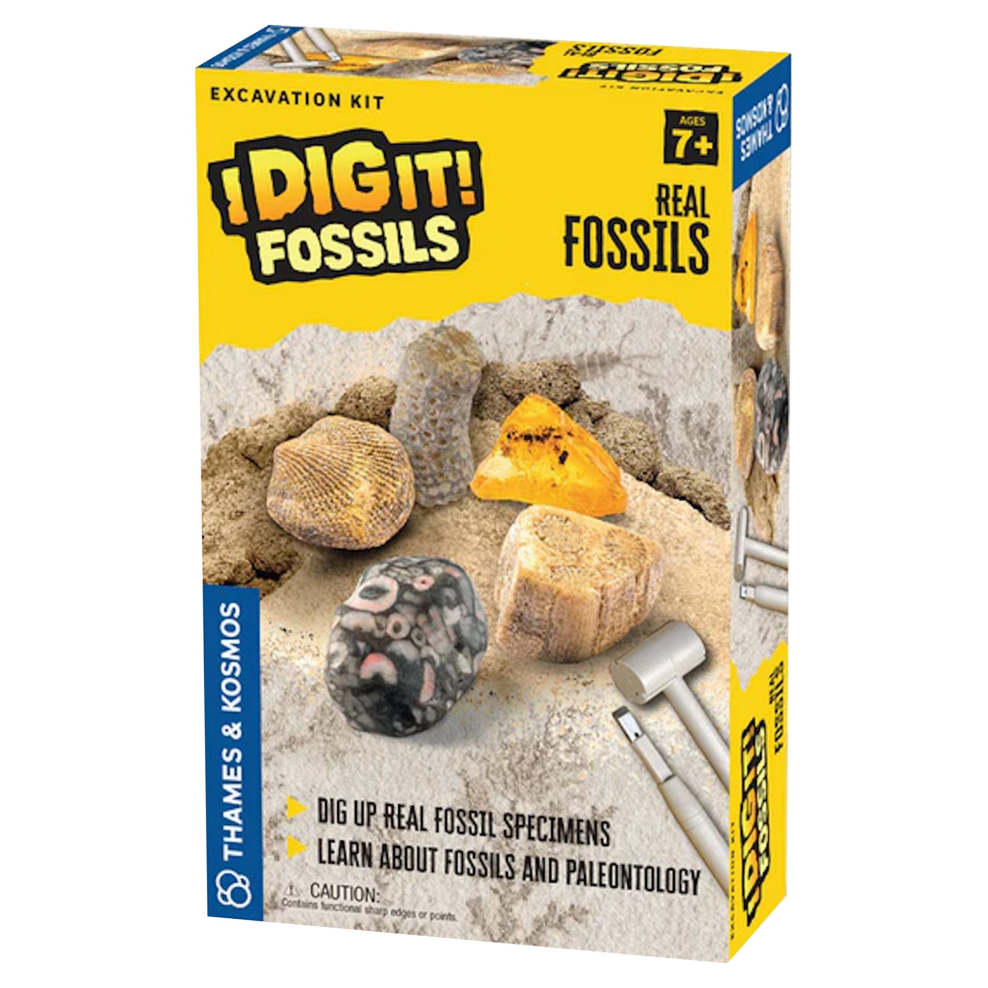 I Dig It! Fossils - Real Fossils Excavation Kit - Mastermind Toys___248478