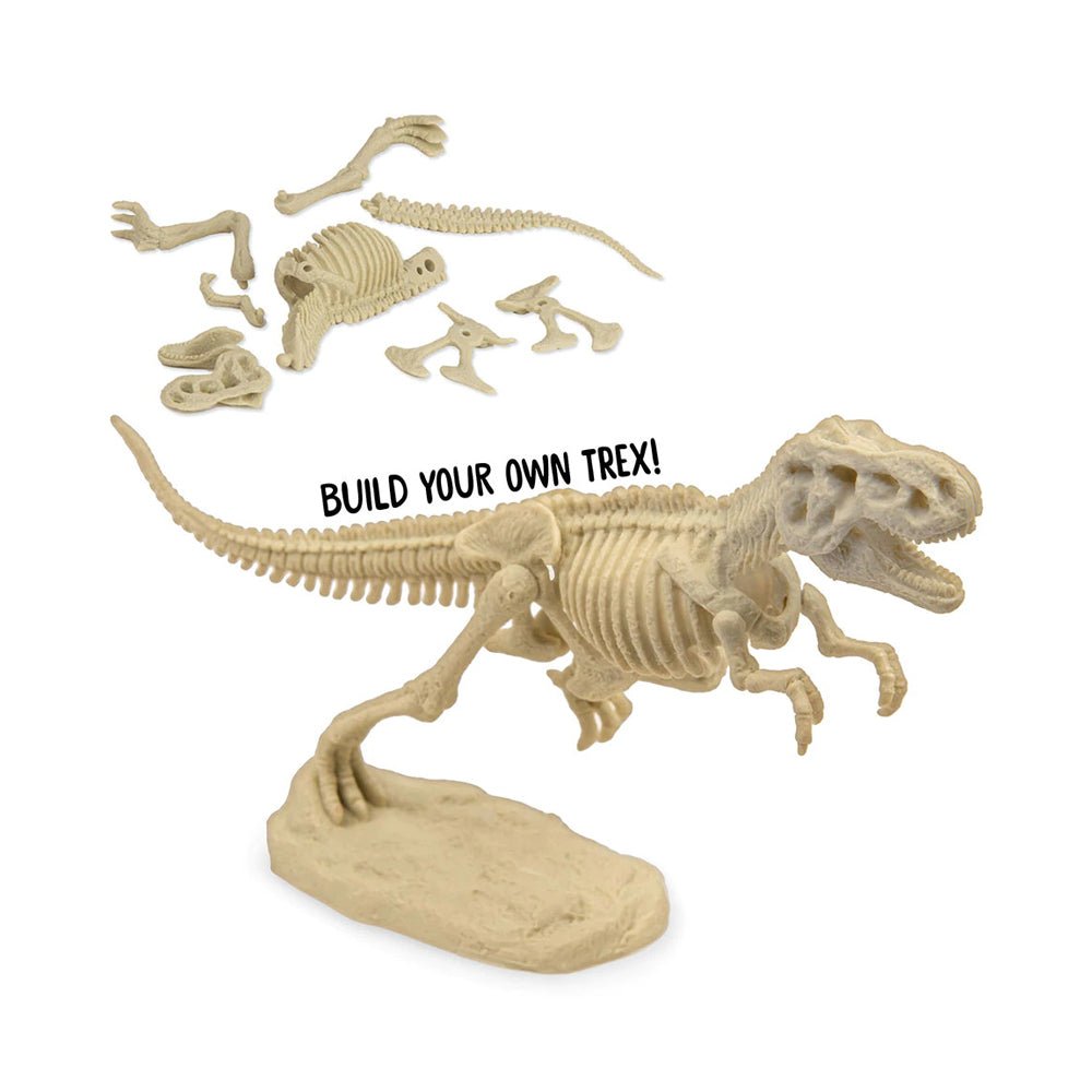 Jurassic World Dominion Dinosaur Dig - Blue T. Rex Amber - Mastermind Toys___226636