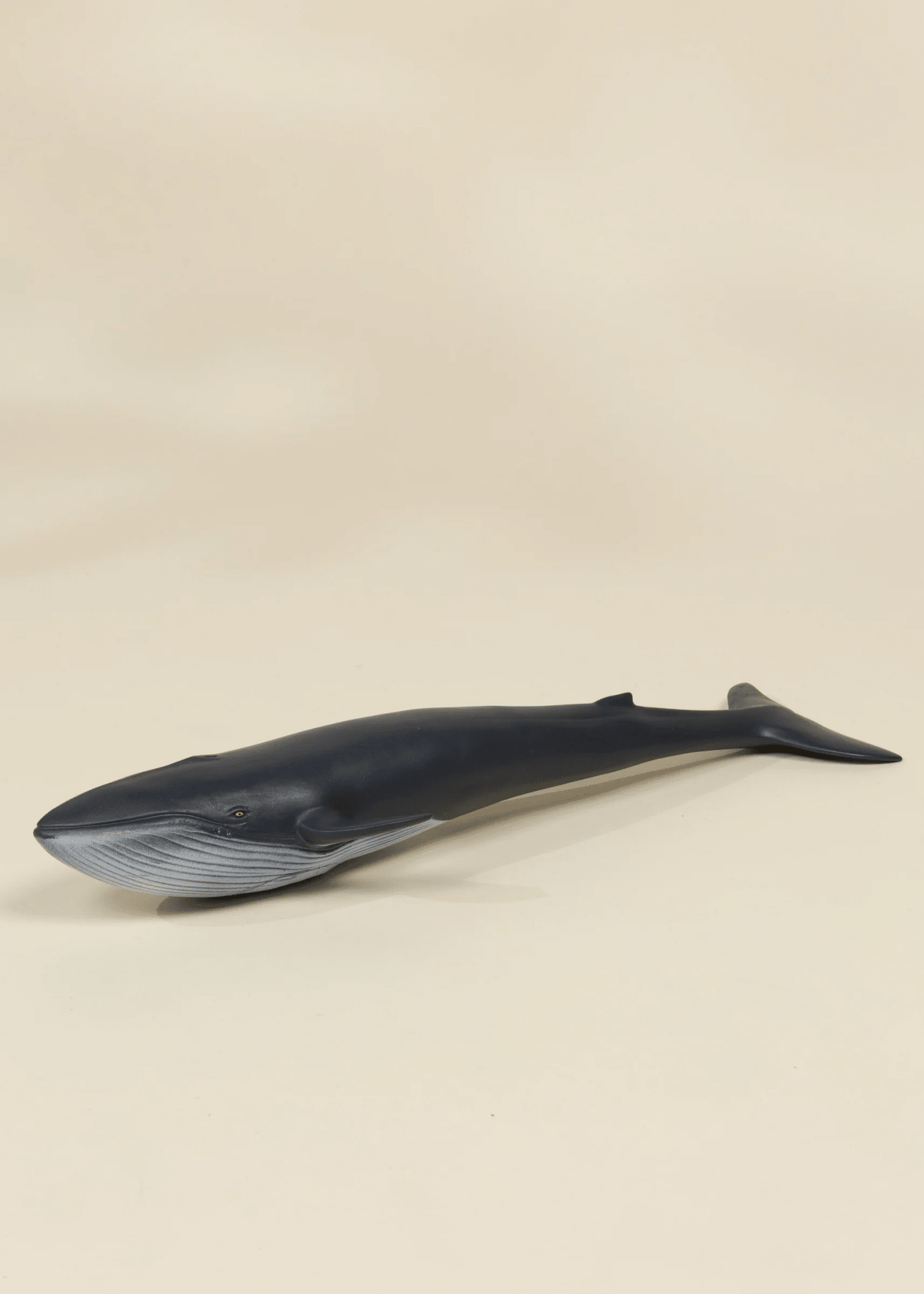 Large Sea Life Animal Play Figurine – Blue Whale - Mastermind Toys___250093