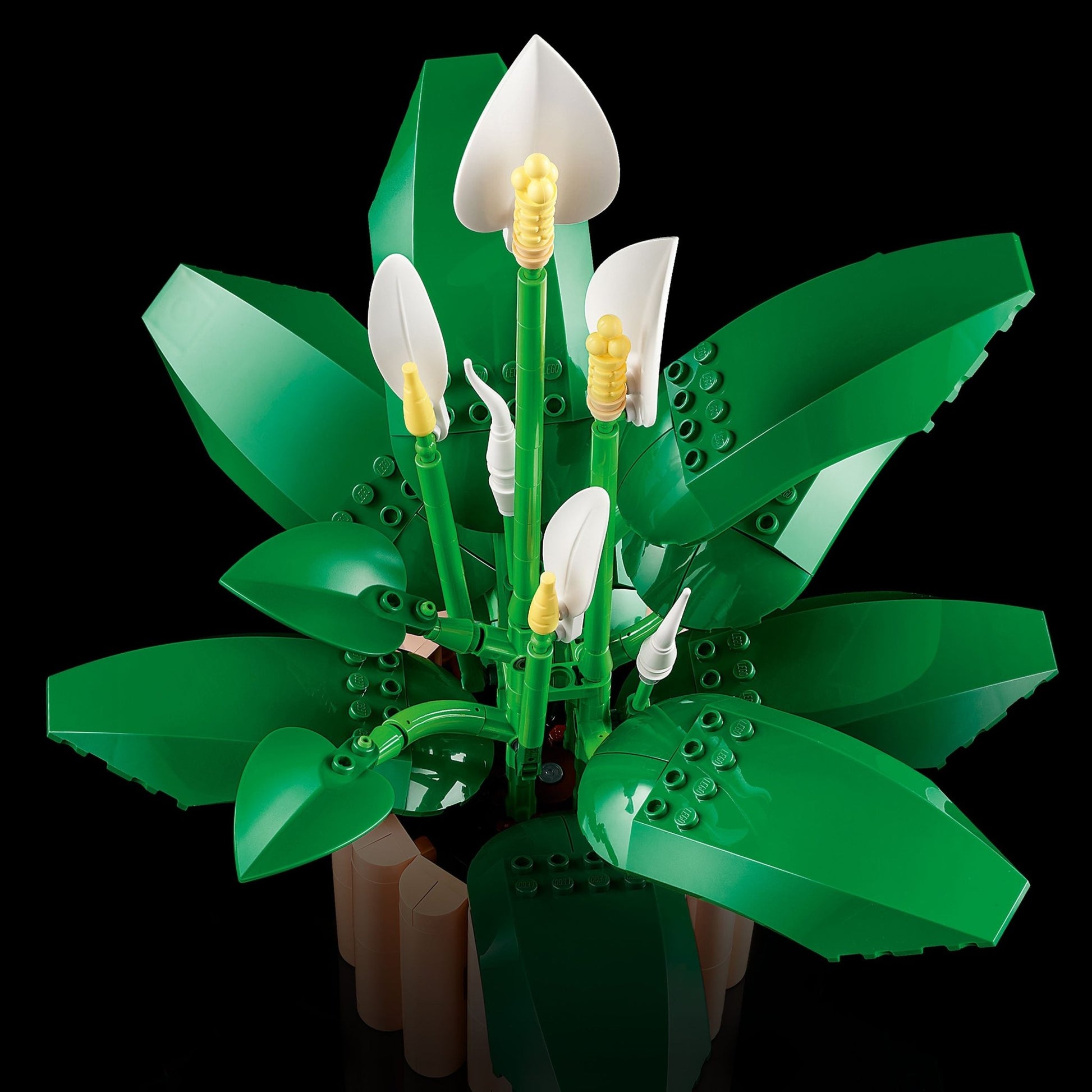 LEGO® Botanicals Peace Lily Flower Decor 11504 - Mastermind Toys___249474