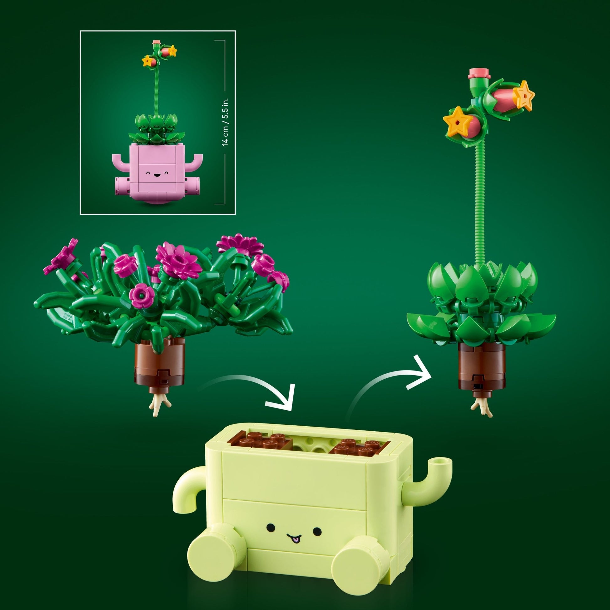 LEGO Botanicals Rocking Plants 11506 - Mastermind Toys___255592