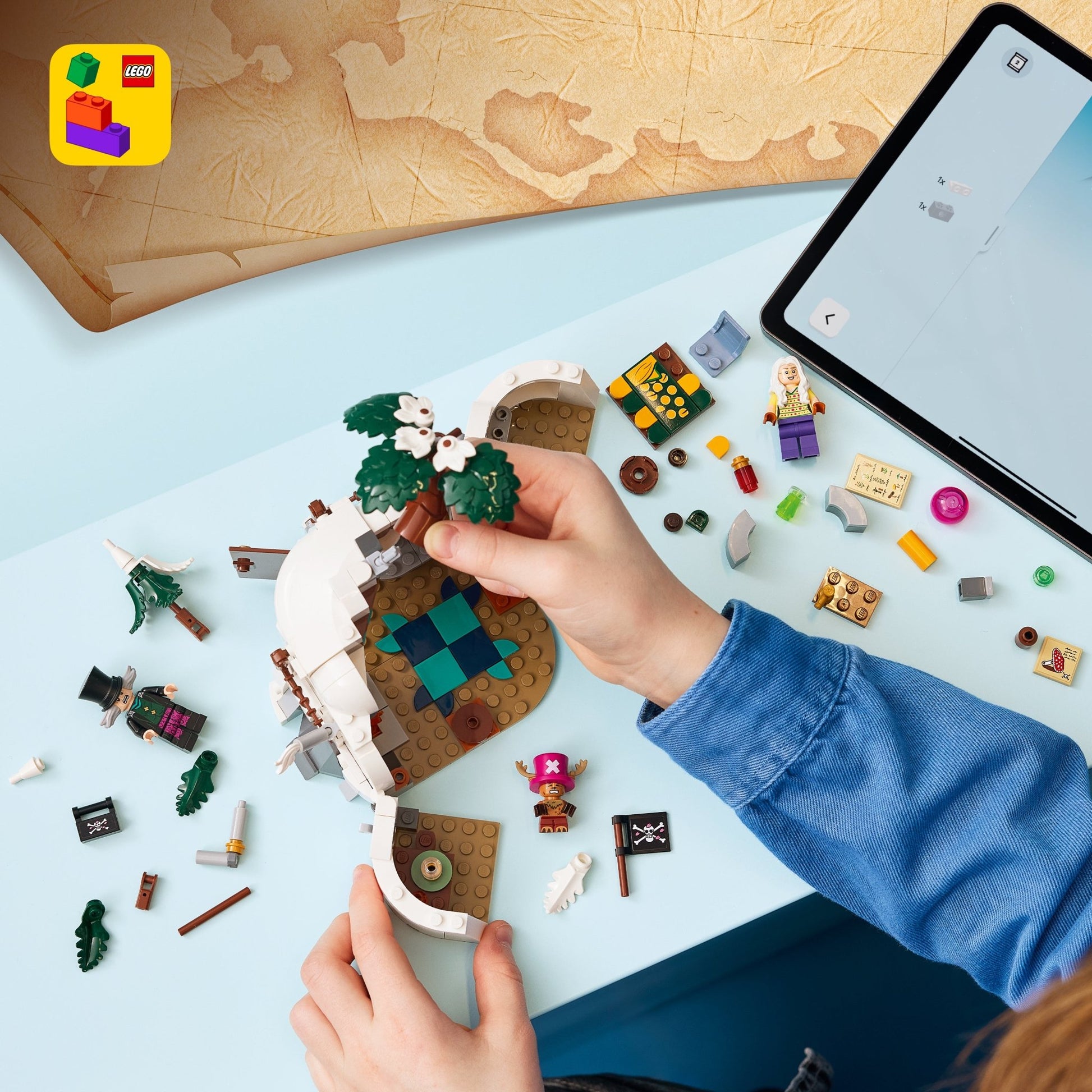 LEGO® ONE PIECE Dr