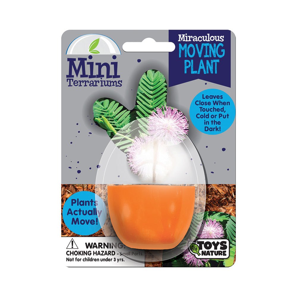 Mini Terrarium - Moving Plants - Mastermind Toys___229011