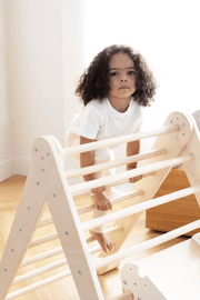 Montessori 2 - in - 1 Triangle & Wall Climber - Mastermind Toys___244041