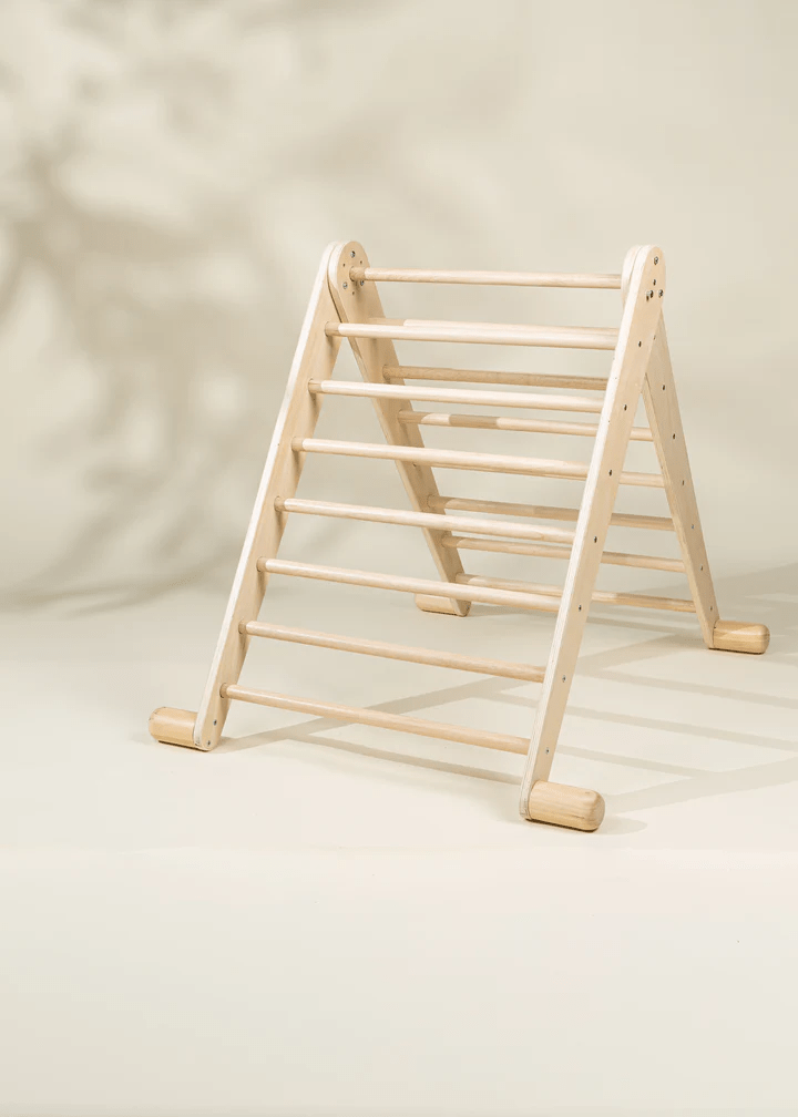 Montessori 2 - in - 1 Triangle & Wall Climber - Mastermind Toys___244041