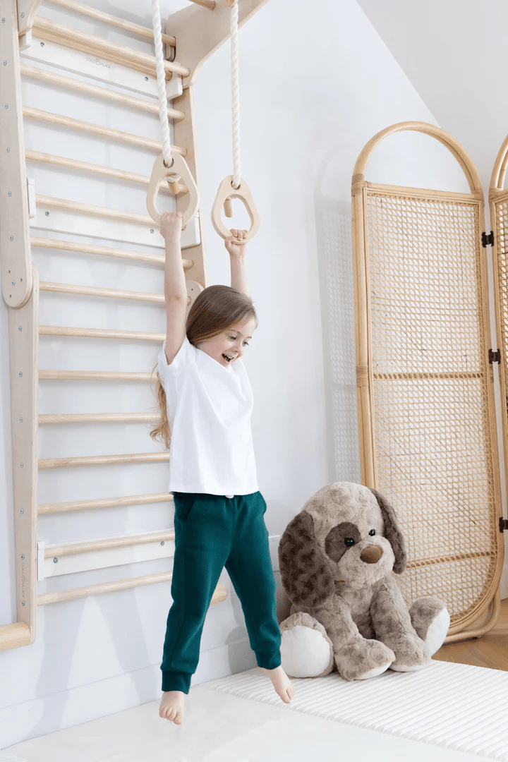 Montessori 2 - in - 1 Triangle & Wall Climber - Mastermind Toys___244041