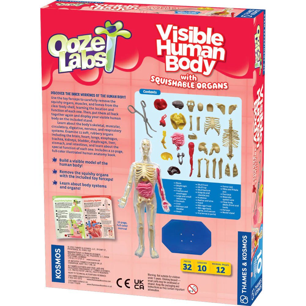 Ooze Labs: Visible Human Body – Mastermind Toys