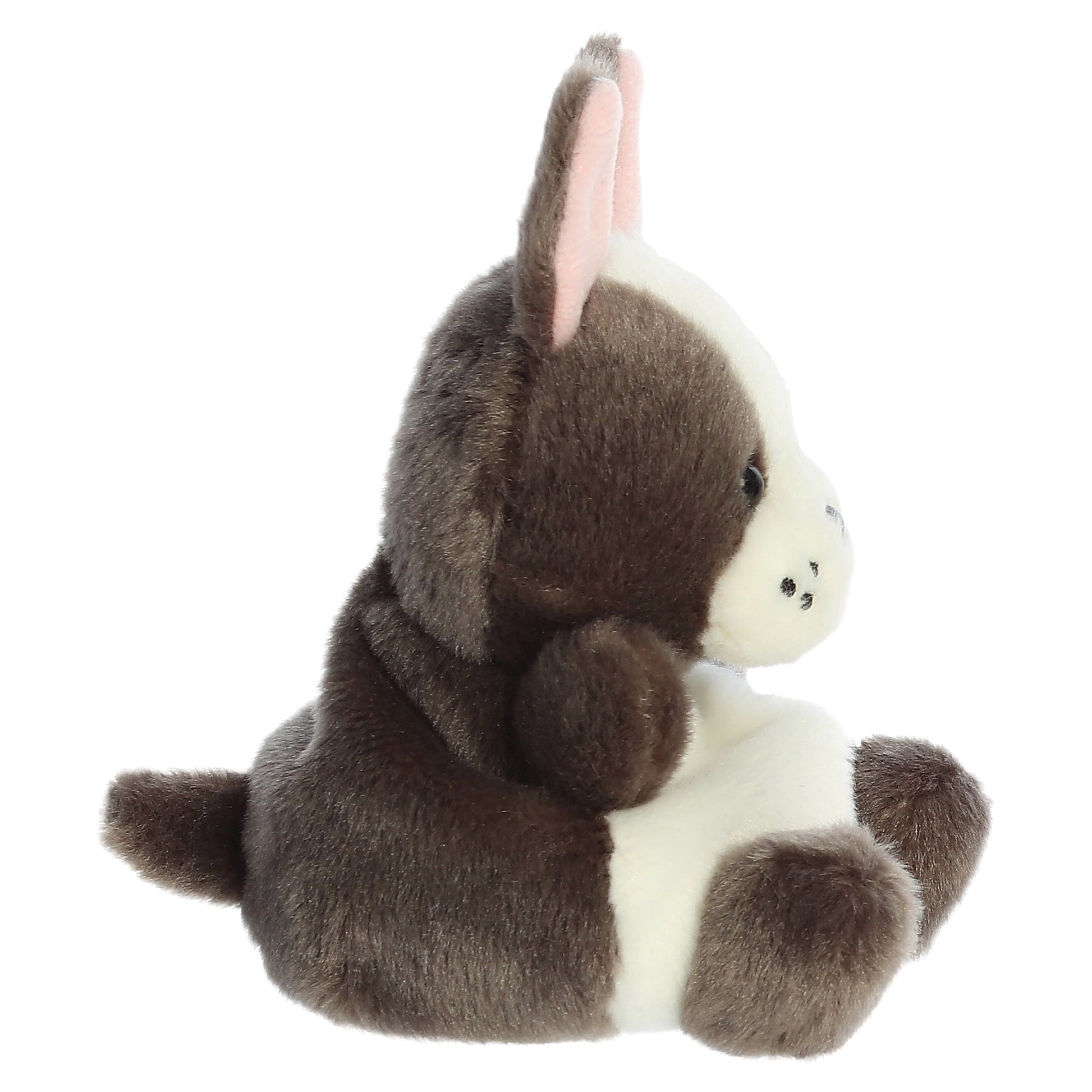 Palm Pals - Beau French Bulldog 5" - Mastermind Toys___247913