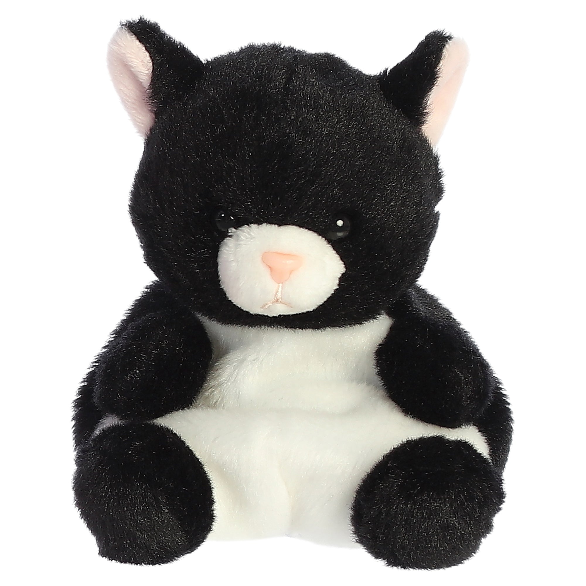 Palm Pals - Cricket Cat 5" - Mastermind Toys___248258