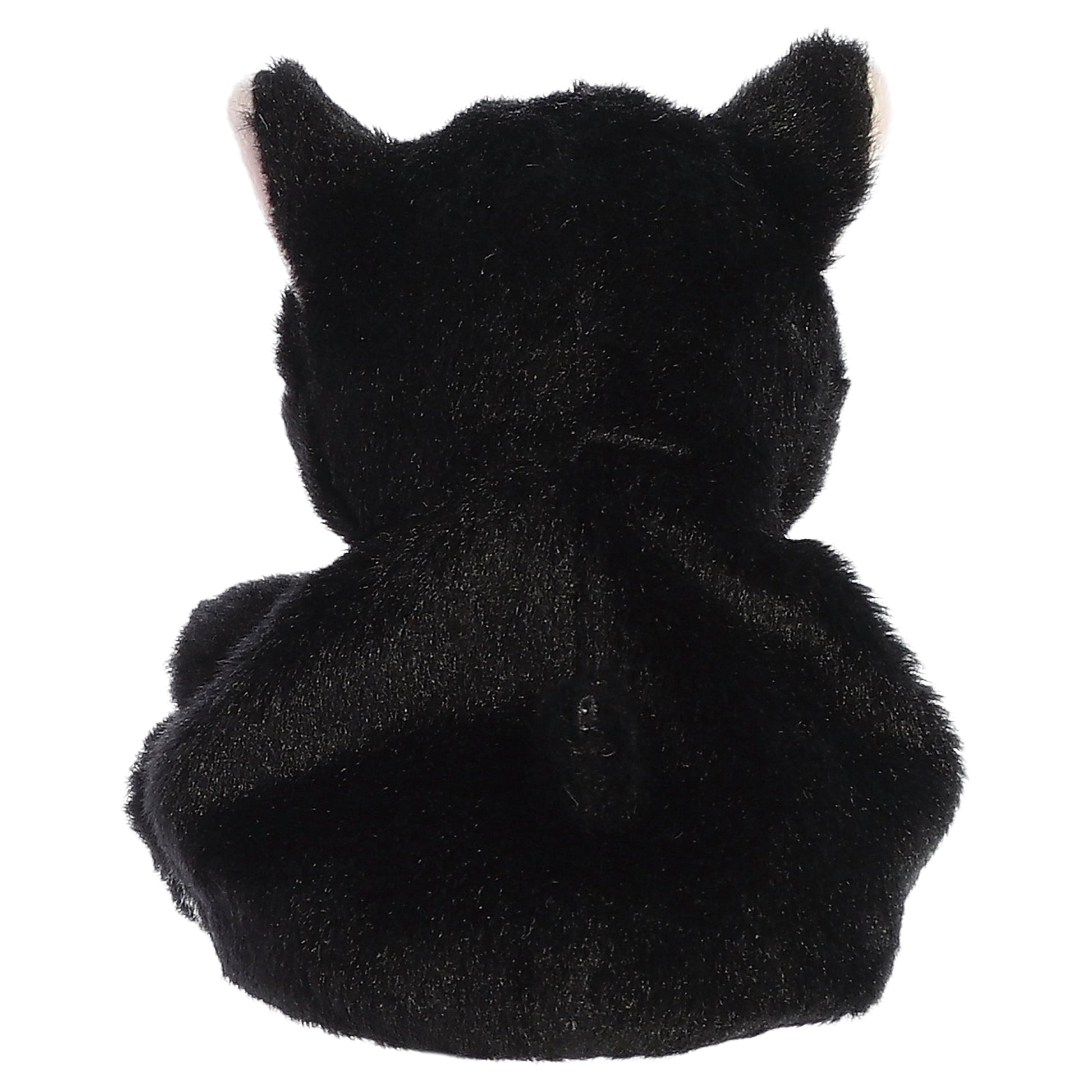 Palm Pals - Cricket Cat 5" - Mastermind Toys___248258