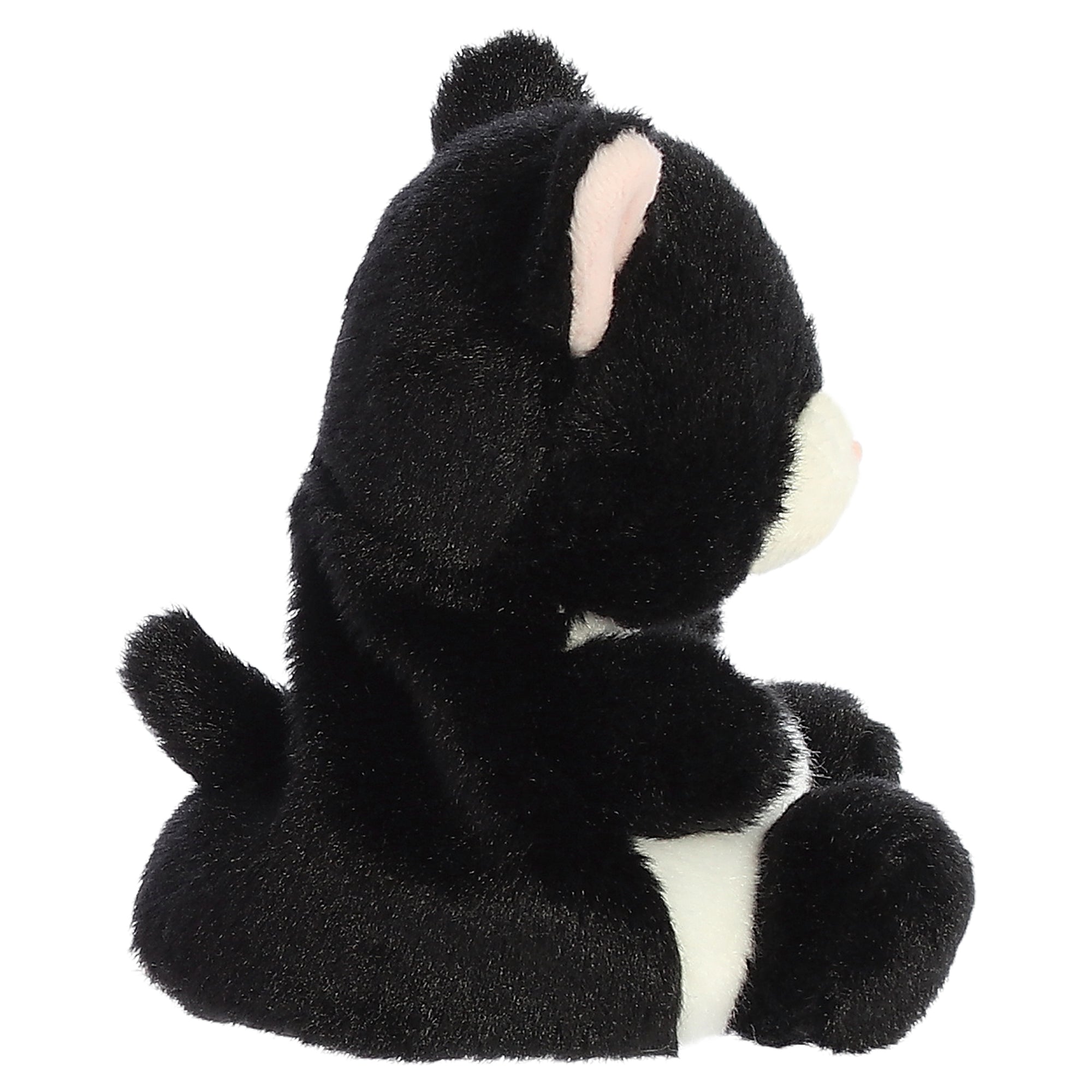 Palm Pals - Cricket Cat 5" - Mastermind Toys___248258