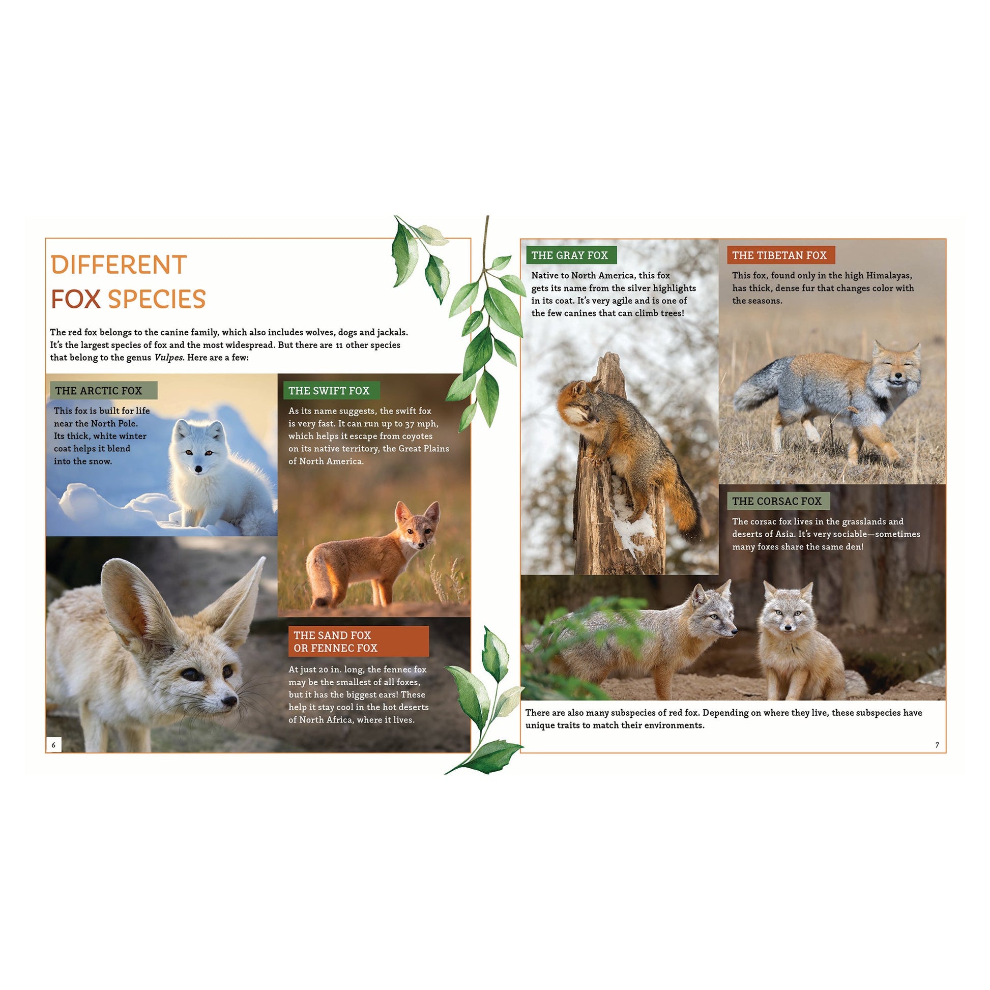 Rolife The Muse Bookshop DIY Miniature House - Mastermind Toys___248359