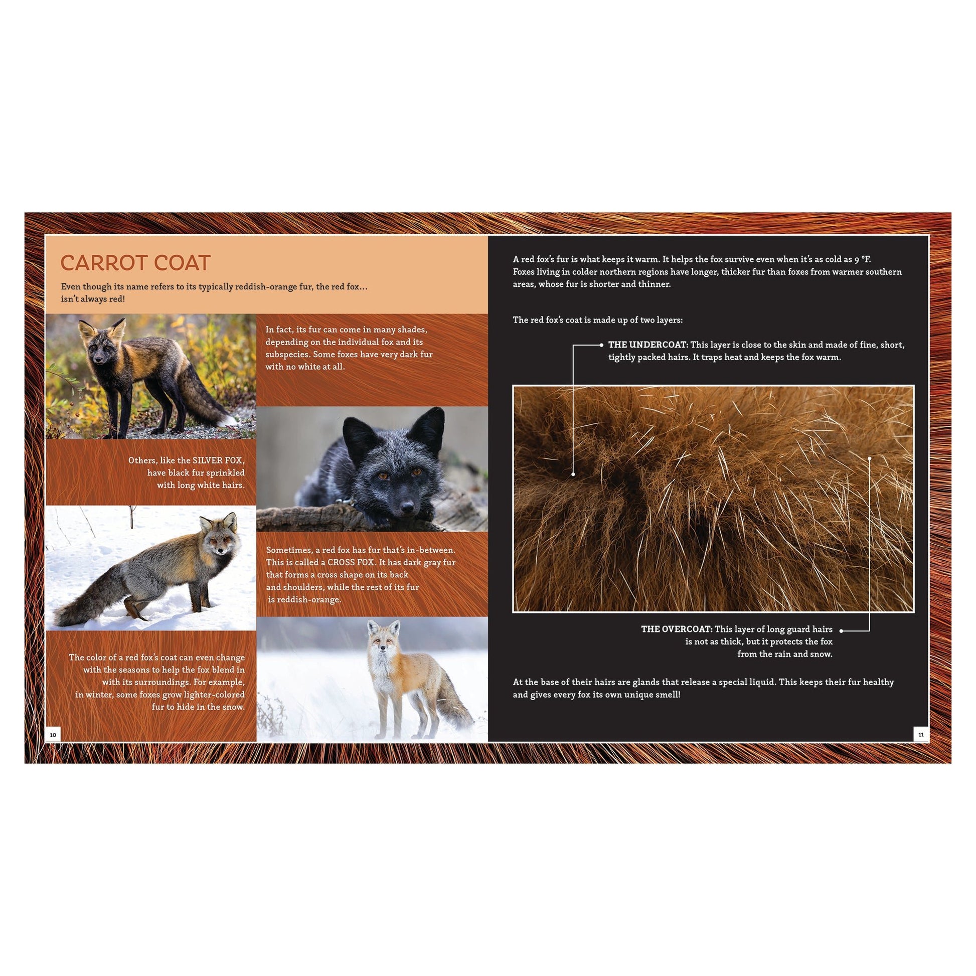 Rolife The Muse Bookshop DIY Miniature House - Mastermind Toys___248359