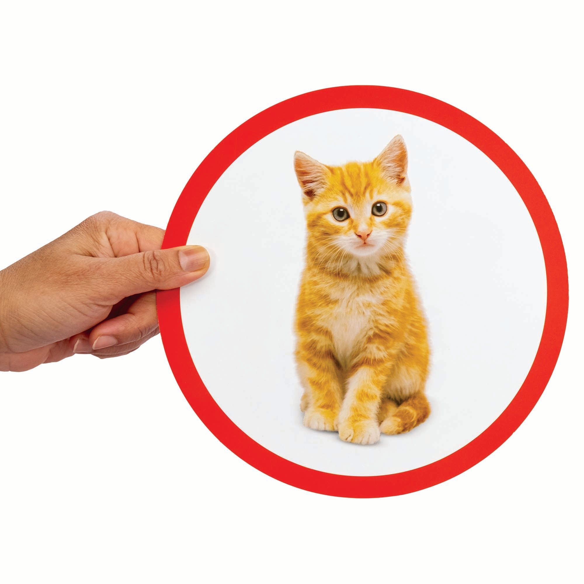 Seek - A - Boo - Mastermind Toys___248470