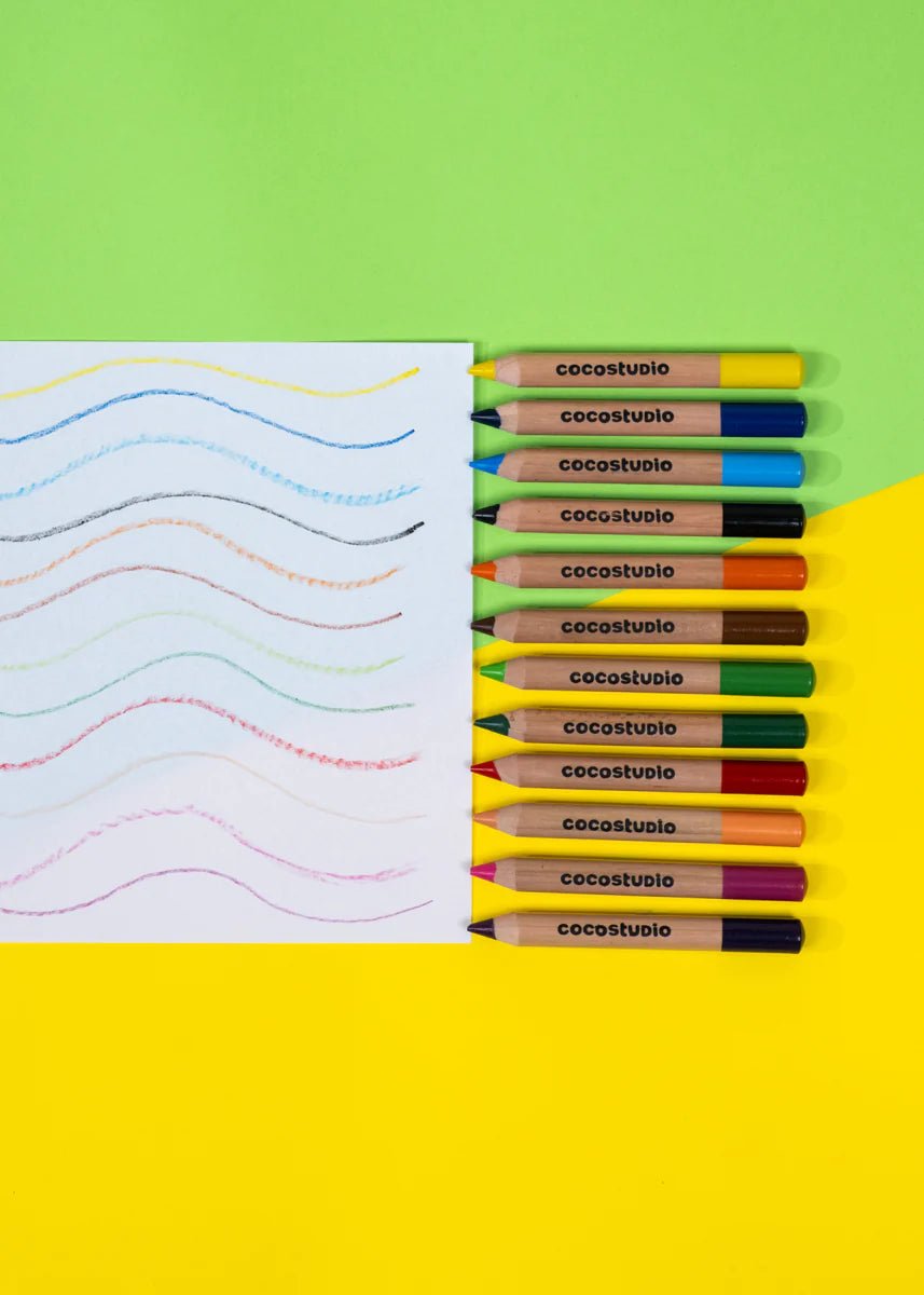 Set of 12 Jumbo Artist Colored Pencils - Mastermind Toys___250017