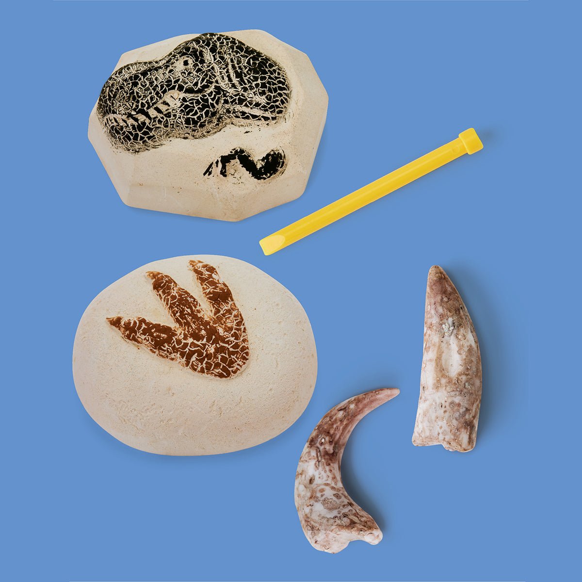 Toy Excavation Kit Dino 2 - Piece - Mastermind Toys___247240