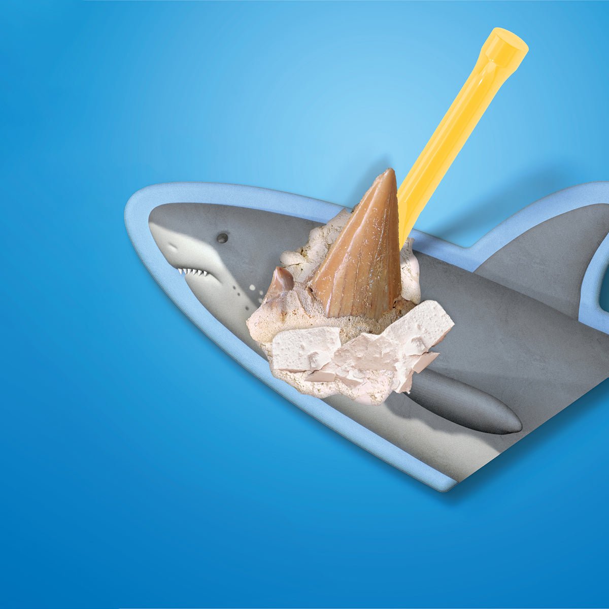 Toy Excavation Shark Tooth - Mastermind Toys___247239