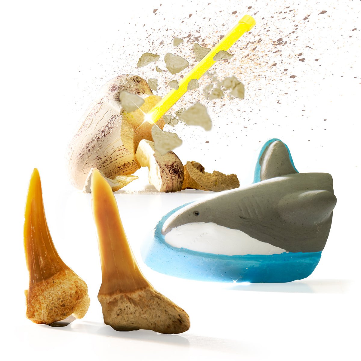 Toy Excavation Shark Tooth - Mastermind Toys___247239