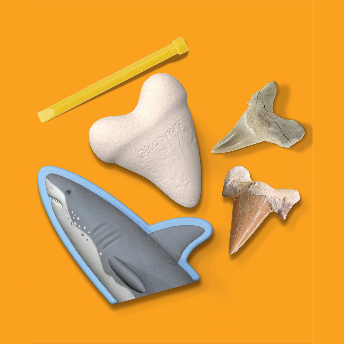 Toy Excavation Shark Tooth - Mastermind Toys___247239