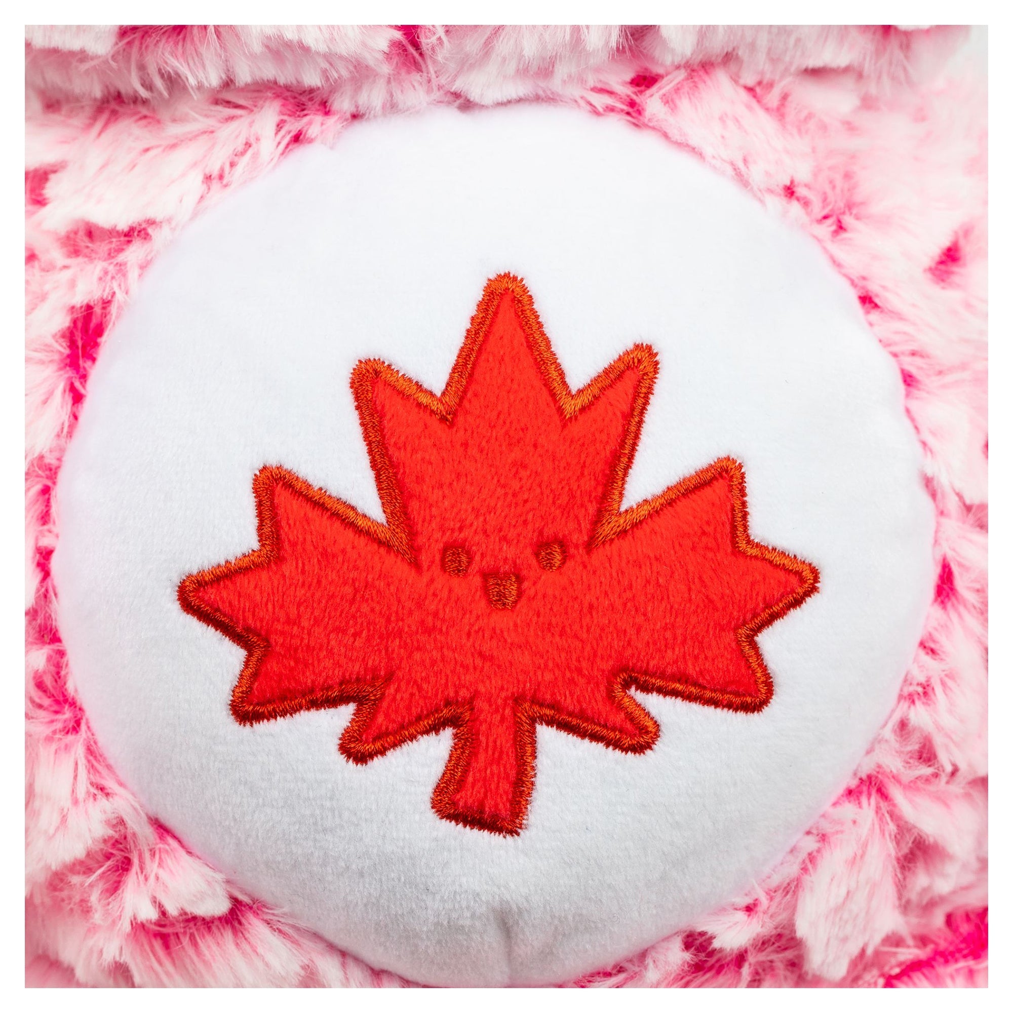 True North Care Bear - Mastermind Toys___247983