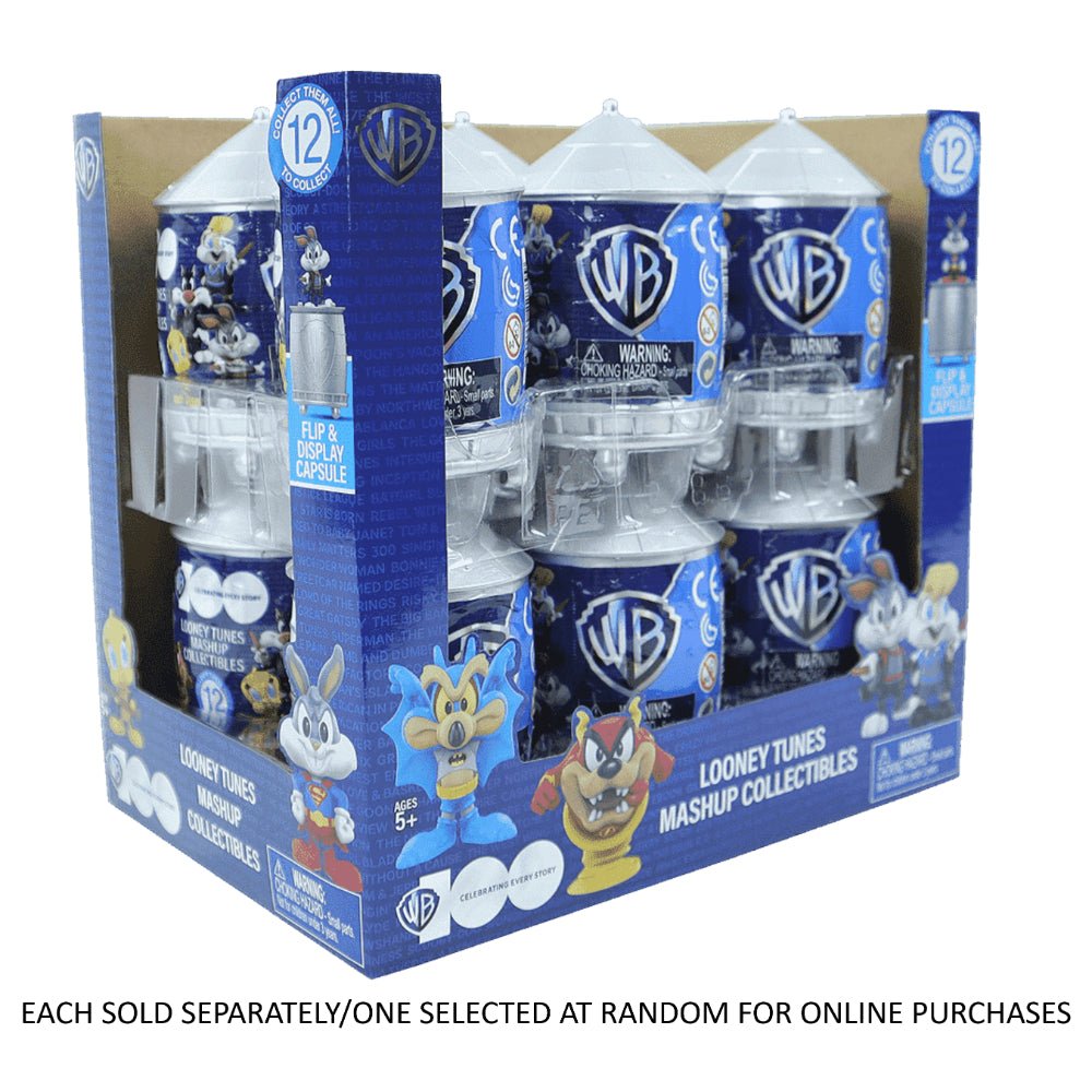 WB100 2.5" Minifigure Mashup Assorted - Mastermind Toys___246251