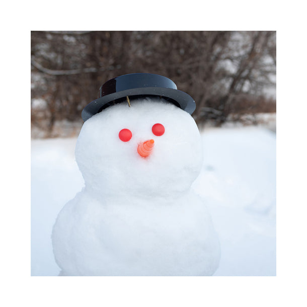 Mastermind Toys Decorate-a-Snowman Kit